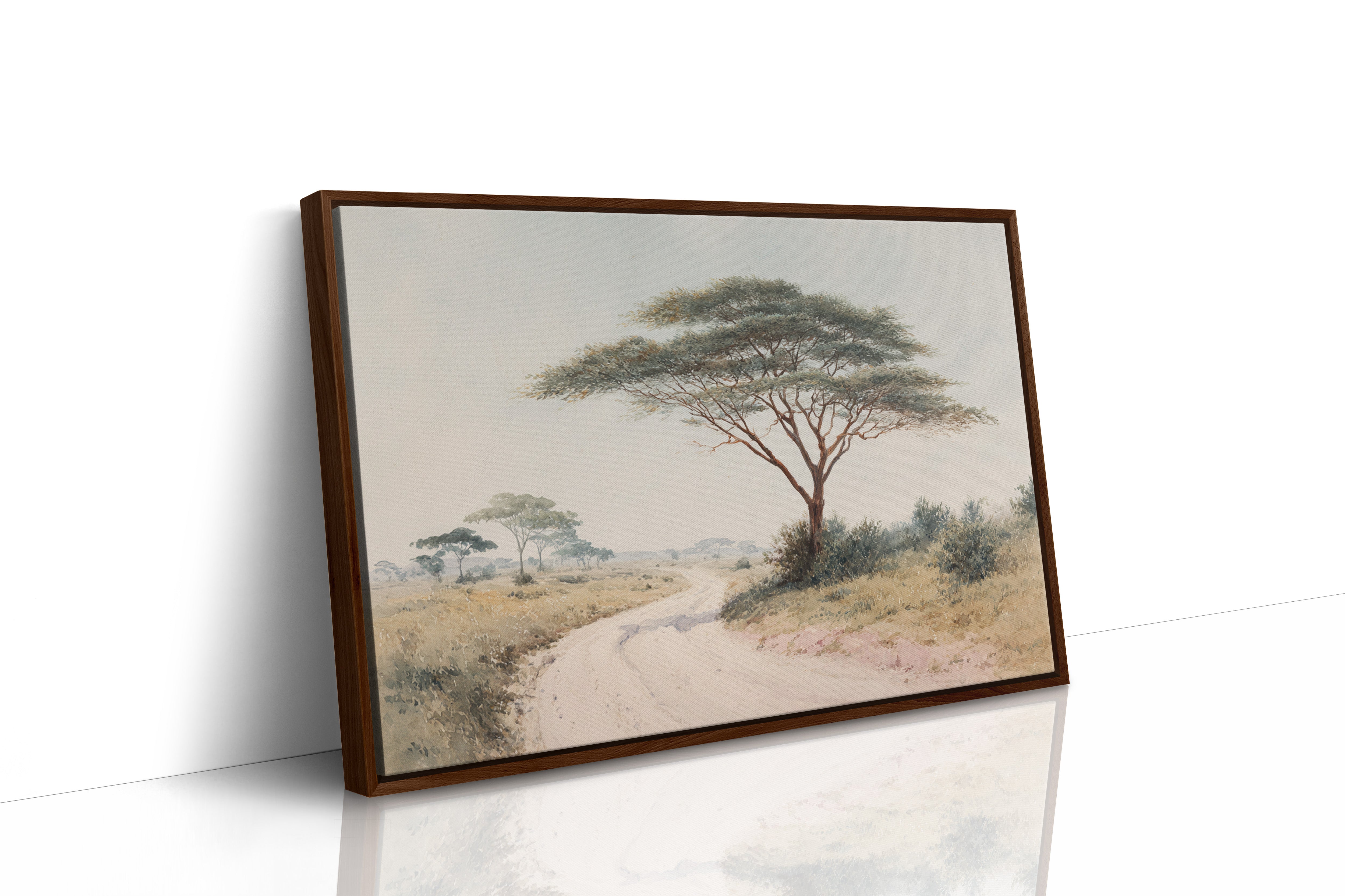 Acacia Bends Over Winding Path