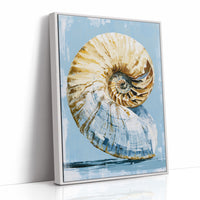 Golden Spiral, Nautilus Study