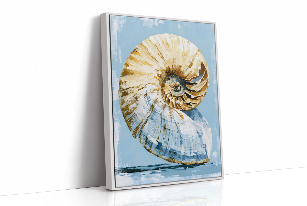 Golden Spiral, Nautilus Study
