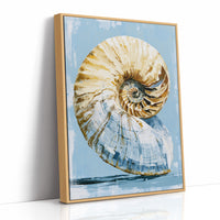 Golden Spiral, Nautilus Study