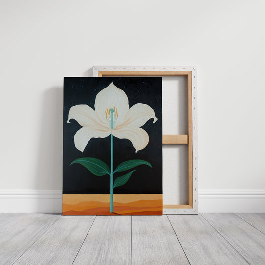 Midnight Lily Reaches For Stars