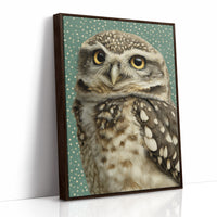 Wide-Eyed Little Owl