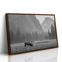 Lone Elk Graces Valley Floor