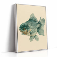 The Lion-Headed Goldfish, Studied in Ink