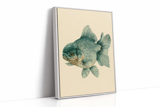 The Lion-Headed Goldfish, Studied in Ink