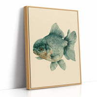 The Lion-Headed Goldfish, Studied in Ink