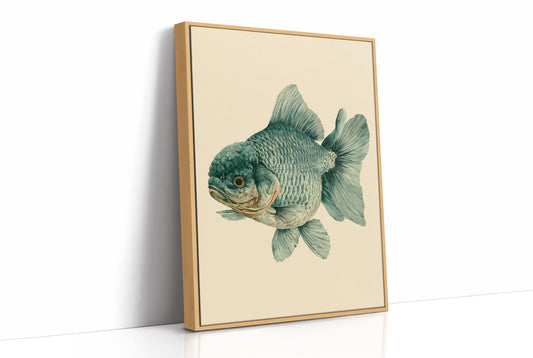 The Lion-Headed Goldfish, Studied in Ink