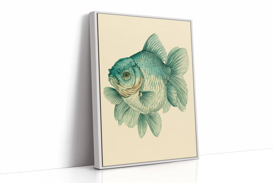 The Curious Goldfish, Face to Face