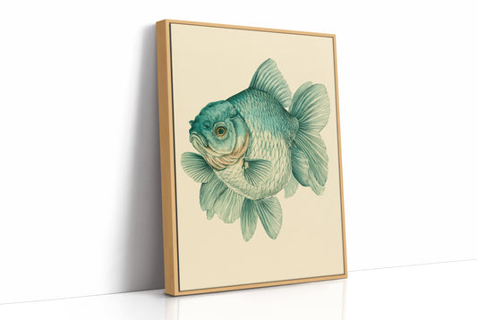 The Curious Goldfish, Face to Face