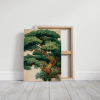 The Old Pine Watches Over
