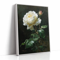 The White Rose Holds Its Light
