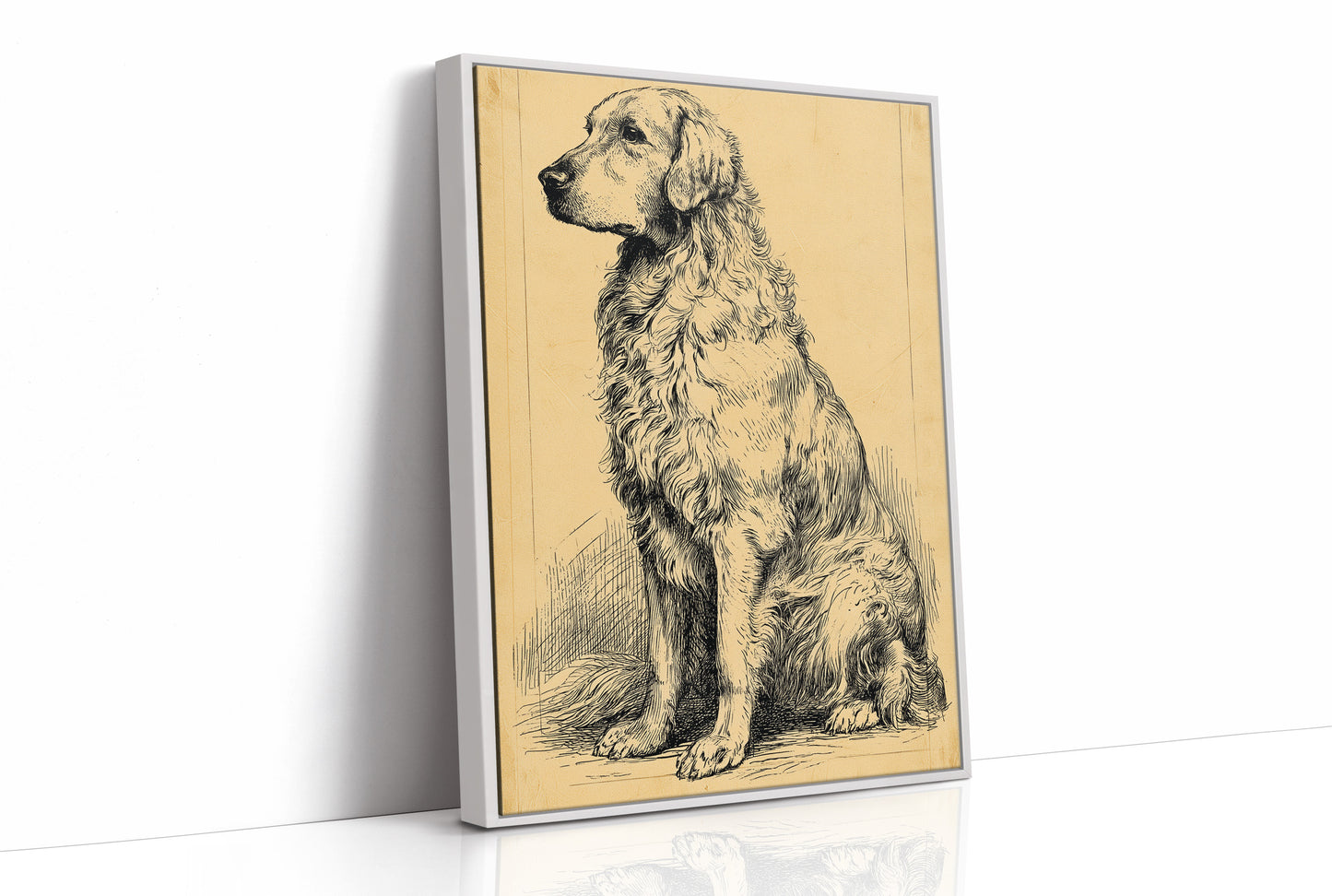 The Good Old Boy: Vintage Setter Sketch