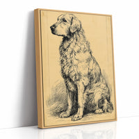 The Good Old Boy: Vintage Setter Sketch