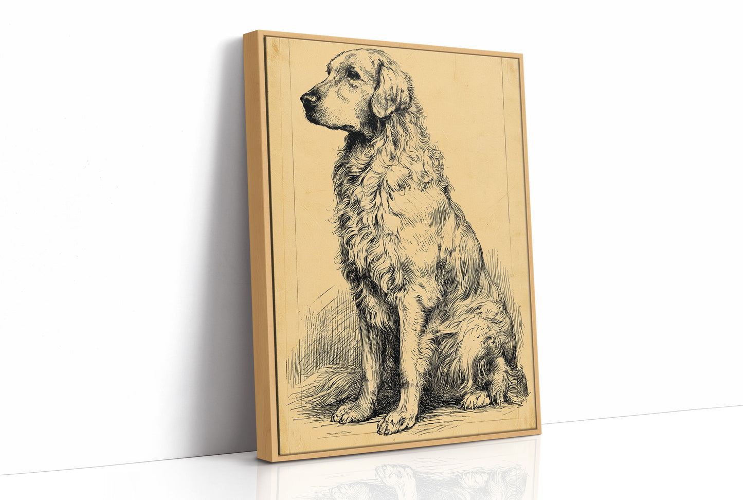 The Good Old Boy: Vintage Setter Sketch