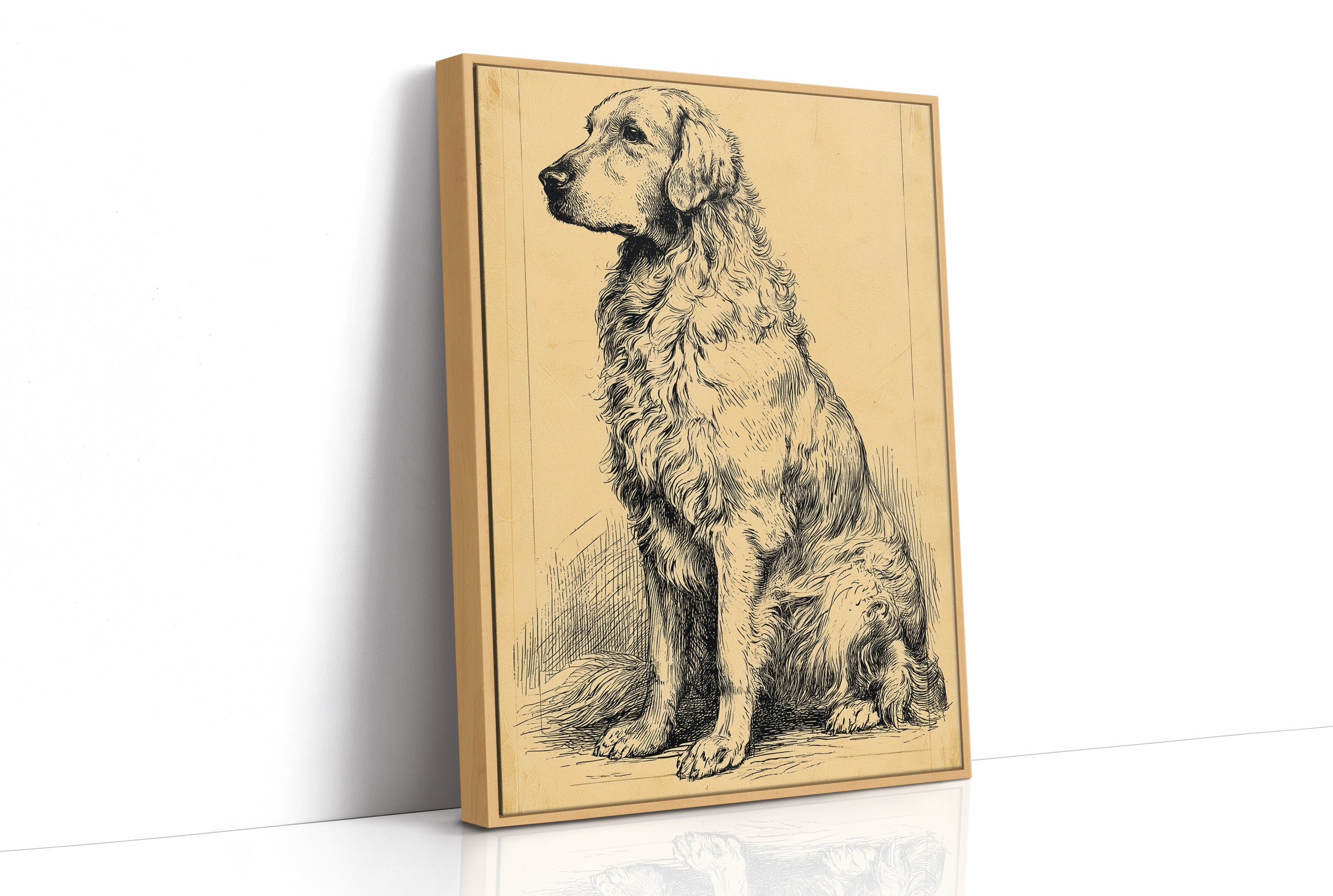 The Good Old Boy: Vintage Setter Sketch