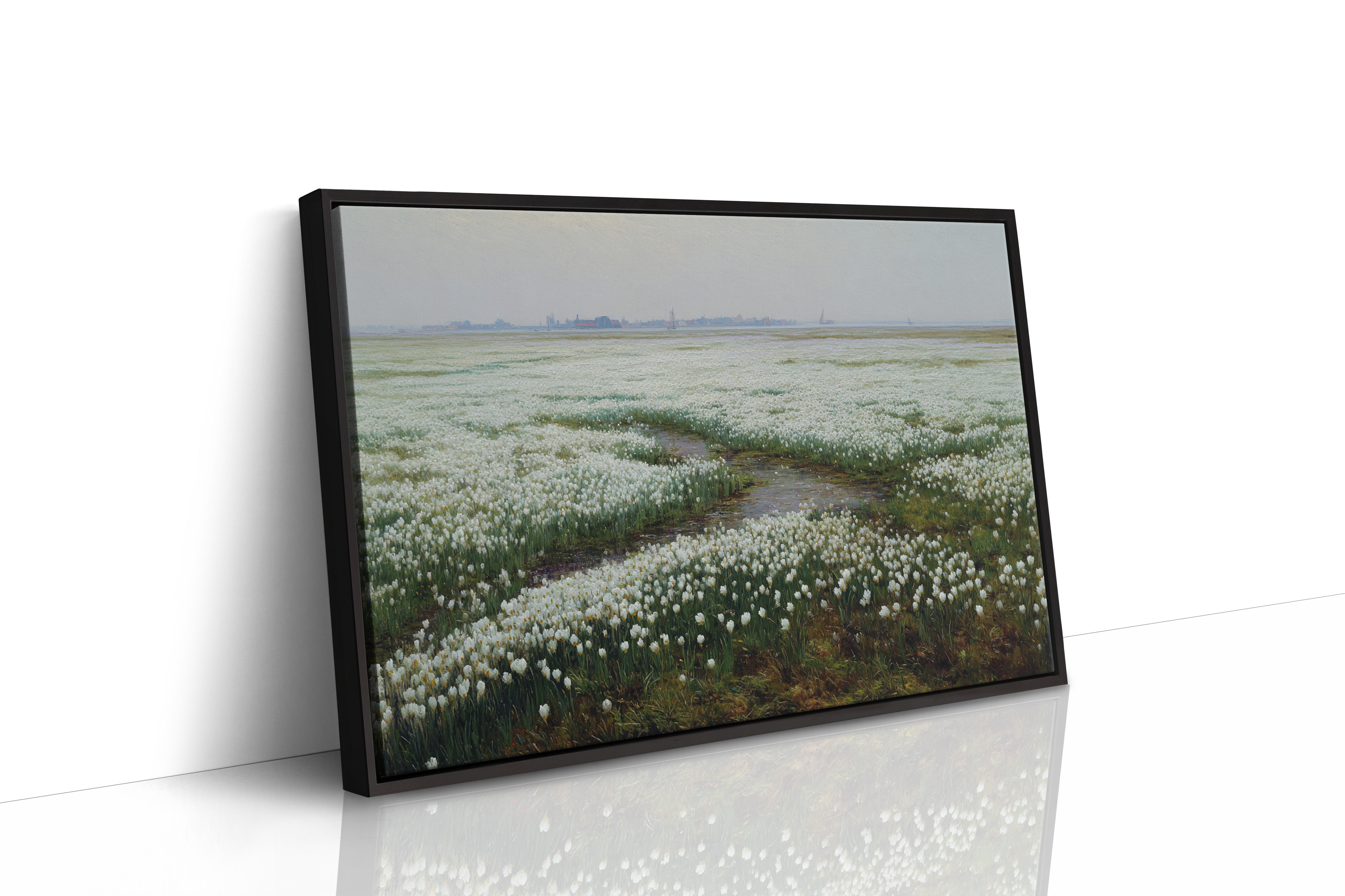 White Tulips Dance Through Dutch Fields