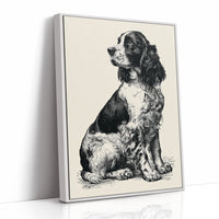 The Springer's Quiet Profile