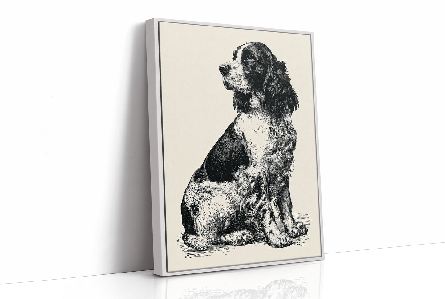 The Springer's Quiet Profile