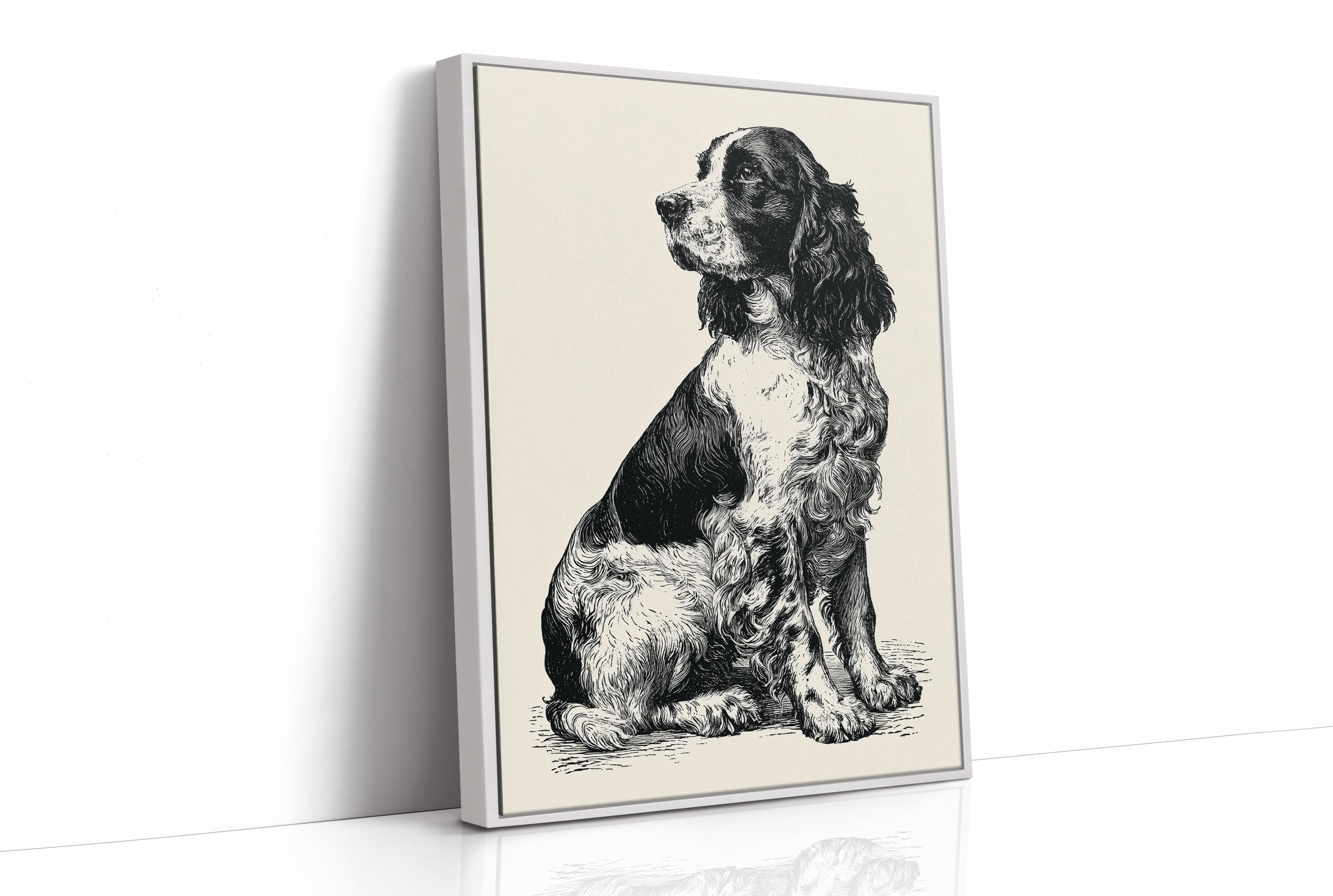 The Springer's Quiet Profile