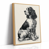 The Springer's Quiet Profile