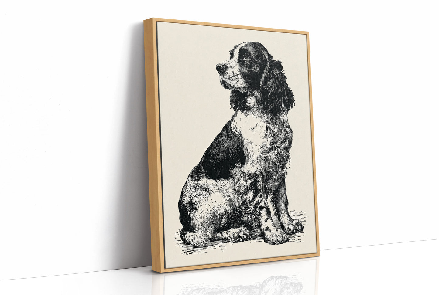 The Springer's Quiet Profile