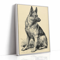 Ever Alert: Vintage Shepherd Sketch