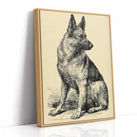Ever Alert: Vintage Shepherd Sketch