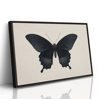 Midnight Sails On Velvet Wings