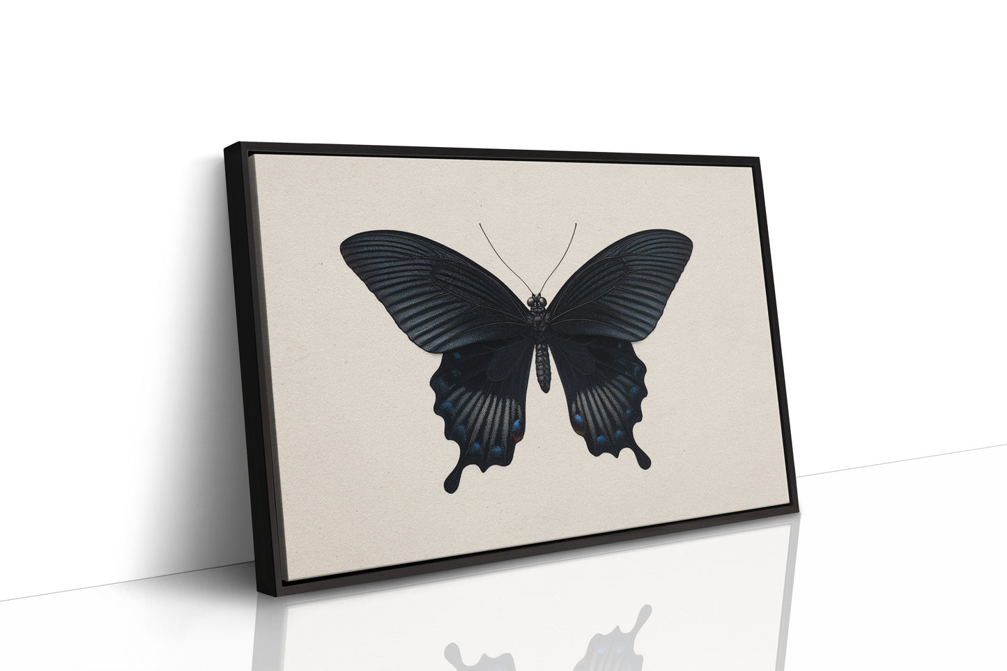 Midnight Sails On Velvet Wings