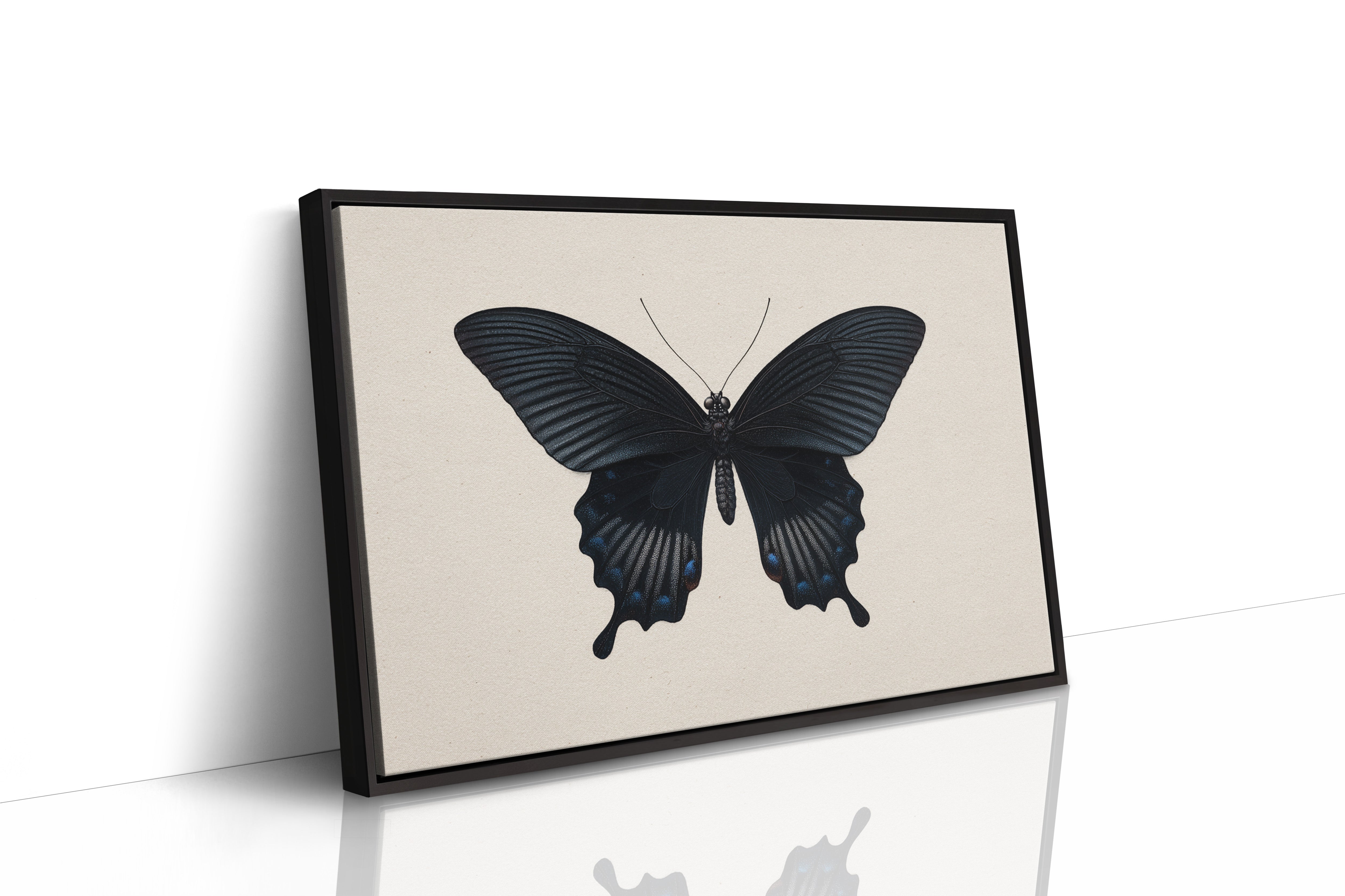 Midnight Sails On Velvet Wings