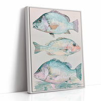 Three of a School: Coastal Fish Trio