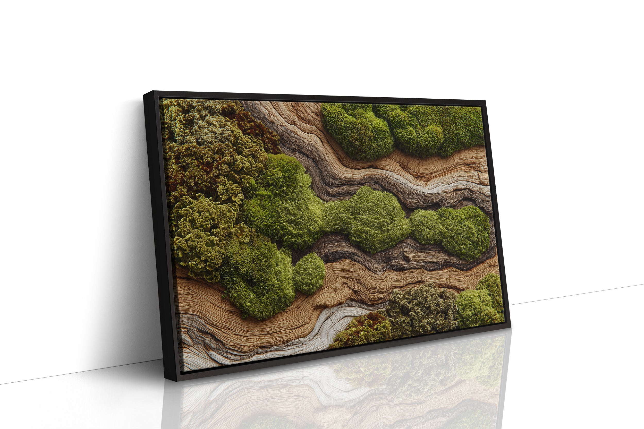 Where Moss Remembers Ancient Wood