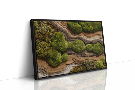 Where Moss Remembers Ancient Wood