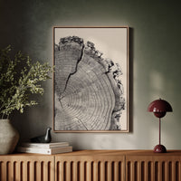 Cross-Section of Time