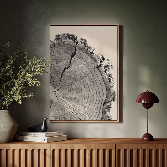 Cross-Section of Time