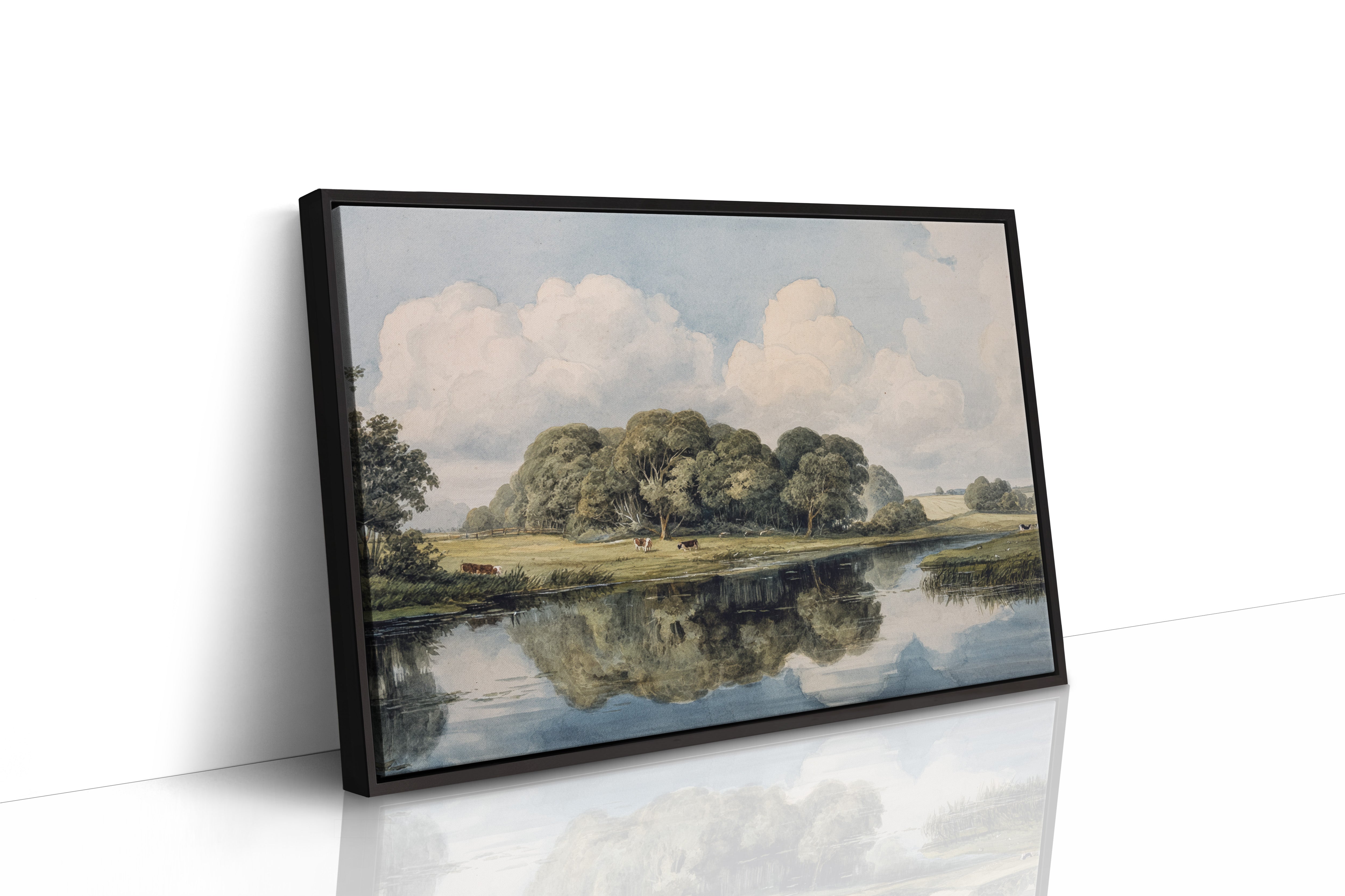 Summer Cattle Rest By Still Waters