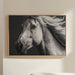 black and white horse on canvas