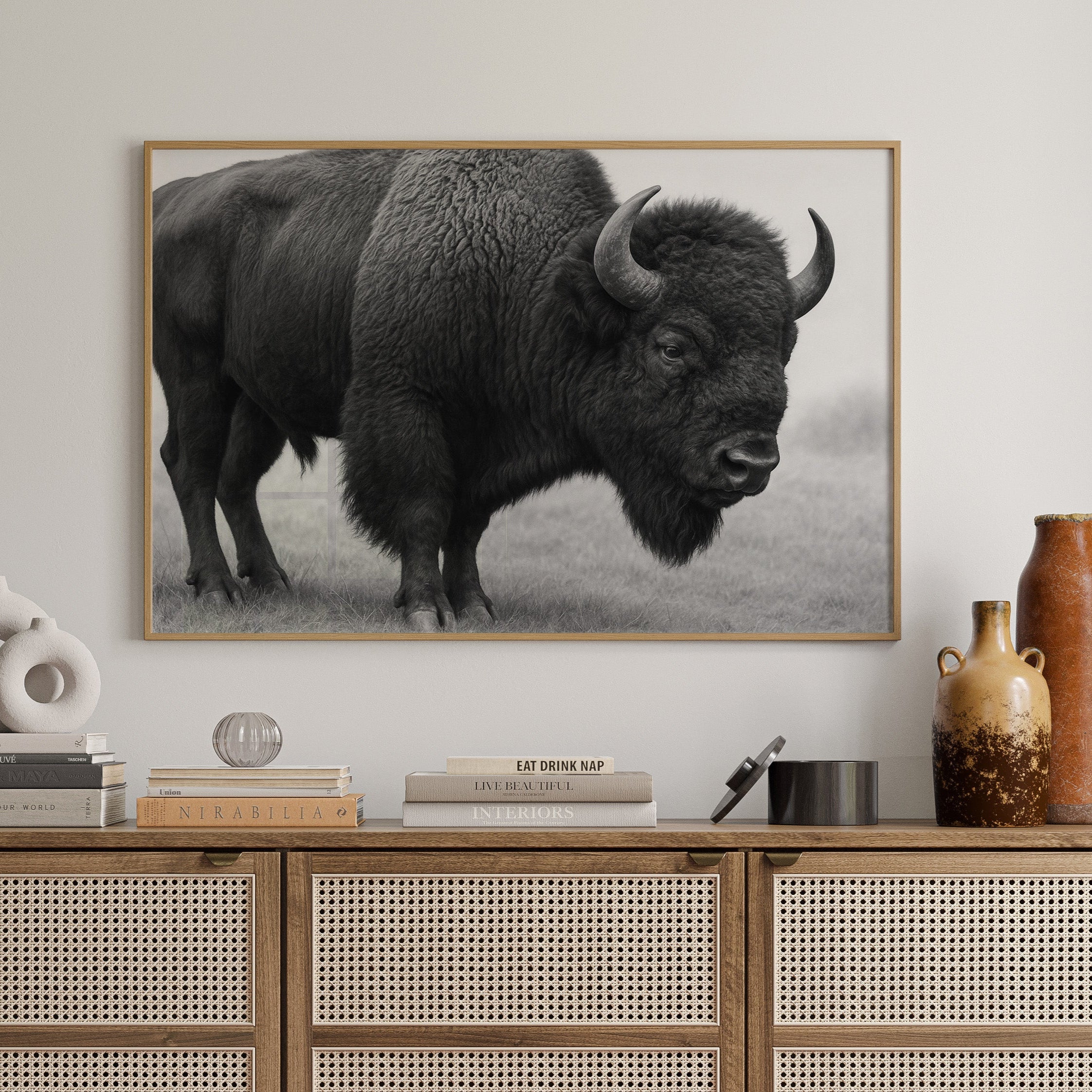 American Bison