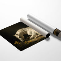 White Steed Among Wildflowers