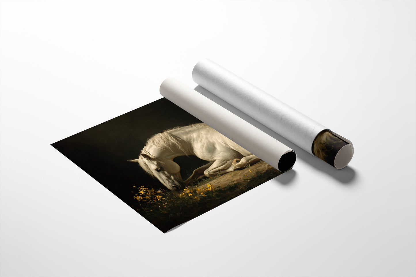 White Steed Among Wildflowers