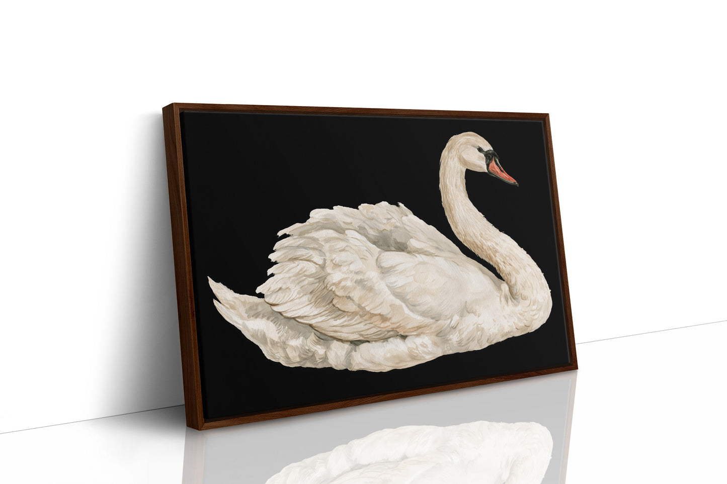 Swan, Study in White