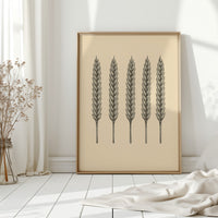 Five Loaves Botanical Wheat Illustration