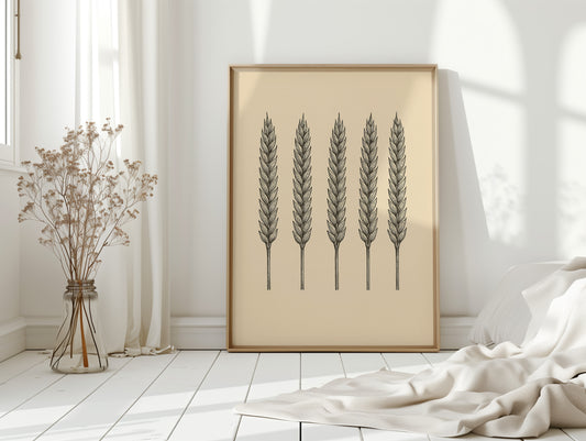Five Loaves Botanical Wheat Illustration