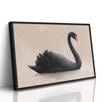 Black Swan Glides Through Blush Dawn