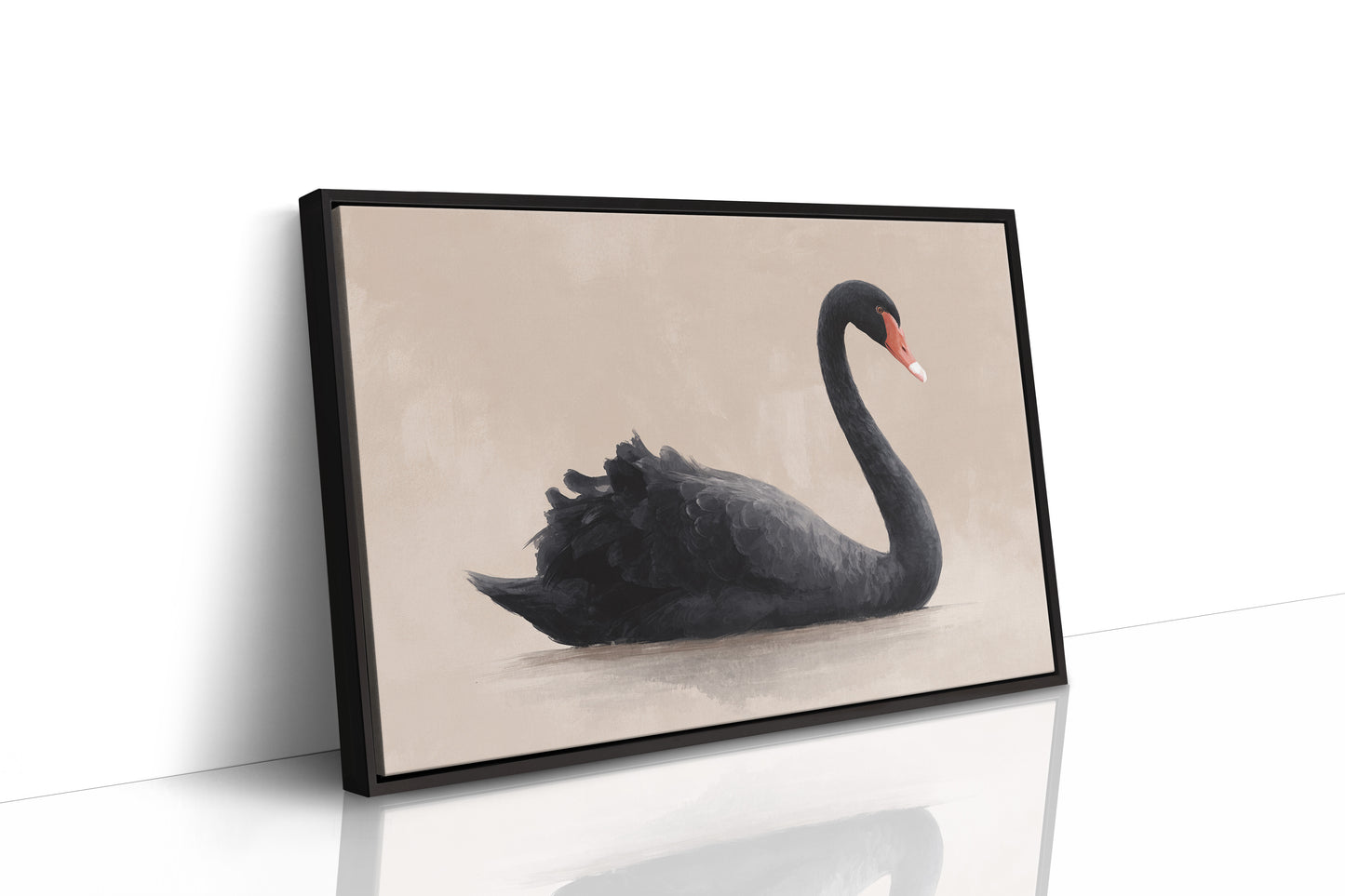 Black Swan Glides Through Blush Dawn