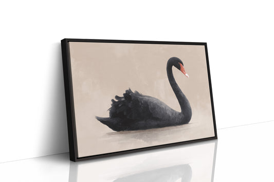 Black Swan Glides Through Blush Dawn