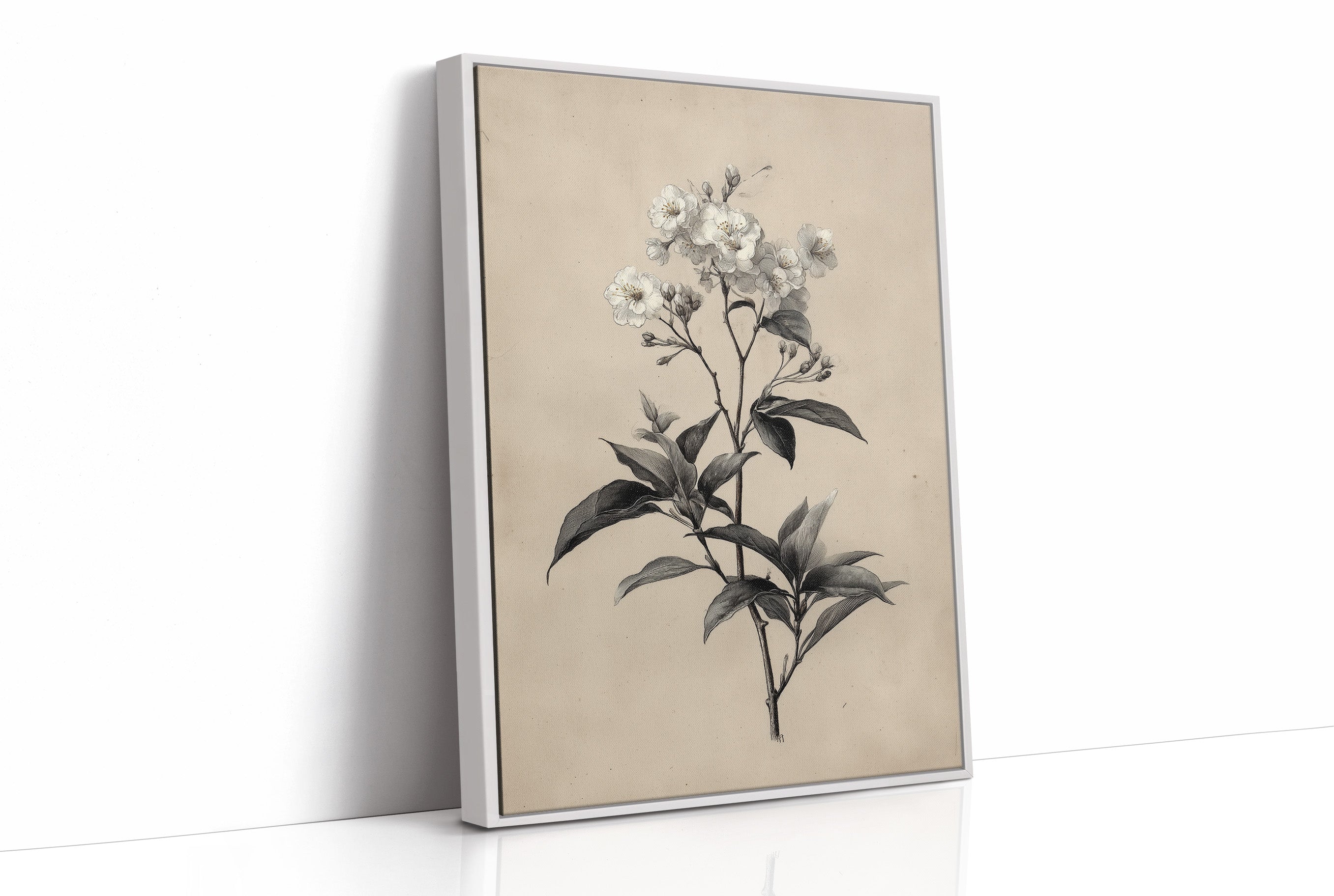 Drawn the Morning It Bloomed