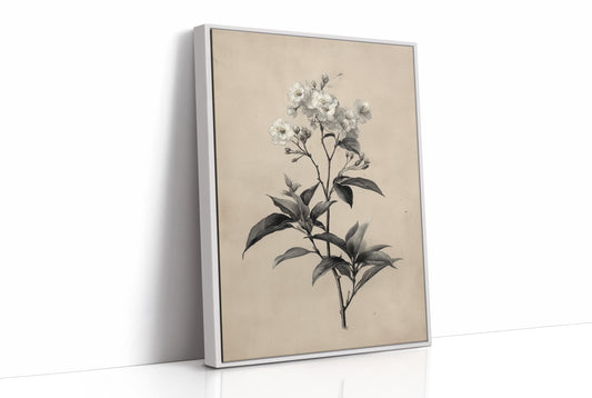 Drawn the Morning It Bloomed