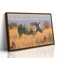 Rhino, Golden Grassland