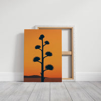 Desert Century Plant Meets Dusk